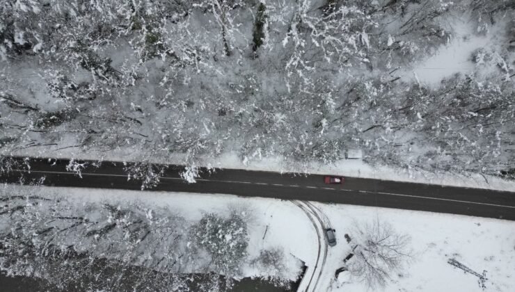 Bartın’da ağaçlı yolun büyüleyen görünümü