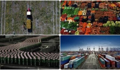 Gümrüklerde yeni düzenleme: Tarım eserleri ithalatı