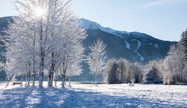 Hoş geldin Şubat ayı mesajları 2026|| Şubat ayı ile ilgili mesajlar, güzel sözler ve iyi dilekler!