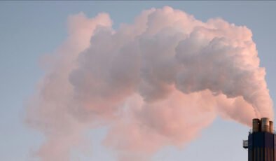 Karbondioksitten nişasta üretildi