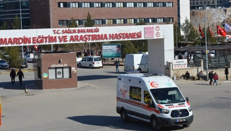 Mardin’de 4 yaşındaki Nazlı, sokak köpeklerinin saldırısına uğradı