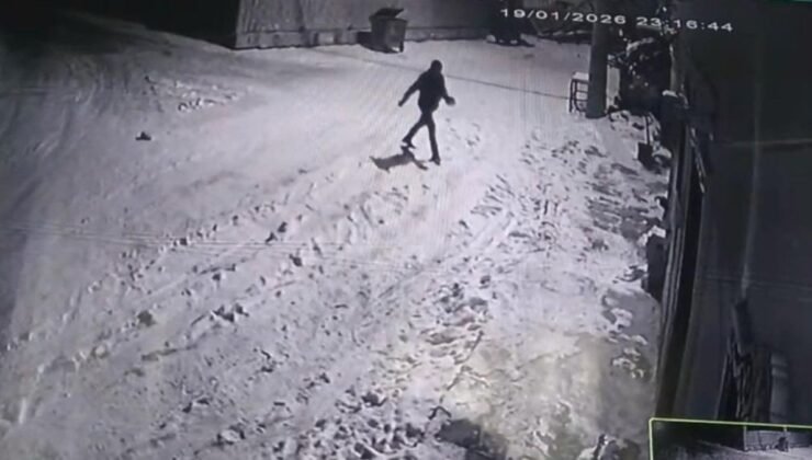 Nevşehir’de bir vatandaş bahçesine giren kurtları sıcak suyla püskürttü