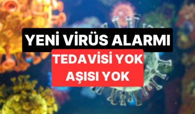 Nipah Virüsü Alarmı: Nipah Virüsü Nedir, Nasıl Bulaşır?