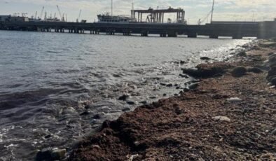 Sahil bir anda kırmızıya döndü: Kötü kokuya neden oldu!