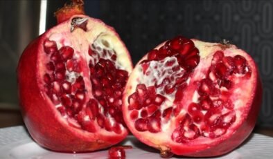 Türkiye’den en fazla nar ihracatı Almanya’ya yapıldı