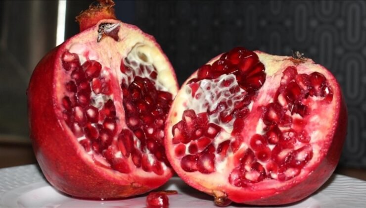 Türkiye’den en fazla nar ihracatı Almanya’ya yapıldı