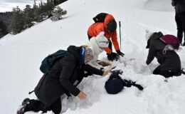 Kar kalınlığı 1.5 metreye ulaştı! İlk defa yapınca "Dağ virüsü" kaptı!