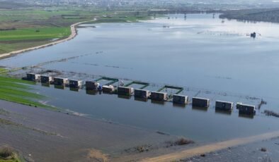 Yasak dinlemediler: Evleri gölün ortasında kaldı! Hepsi suya battı