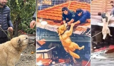 Paşa'yı canı pahasına korudu, o anları anlattı: Kaysam da yine tutardım