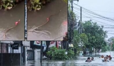 SON DAKİKA HABERLER: Turizm cennetinde korku dolu anlar! Sel sularının arasında devasa yılan görüntülendi