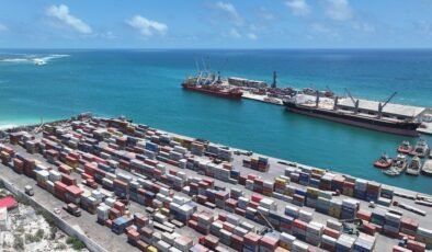 Albayrak Kümesi, global liman operasyonlarını ALPORT markası altında birleştirdi