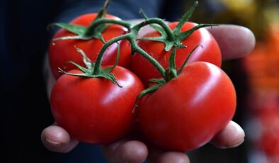 BAİB Başkanı Çavuşoğlu: Yaş sebze ihracatında farklı ürünlerle rekabet etmeliyiz