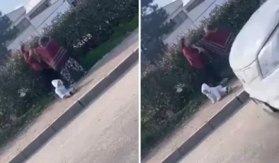 Dilenci kadınların saç saça baş başa kavgasında olan küçük bebeğe oldu