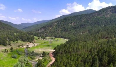 Resmi Gazete'de yayımlandı: 21 ilde bazı alanlar orman sınırları dışına çıkarıldı