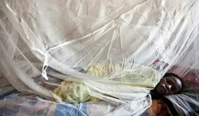 Lassa ateşi. Nijerya’da 2 ayda 70 kişi öldü