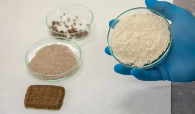 Selçuk Üniversitesi’nden devrim niteliğinde buluş: Kanser ve Alzheimer ile savaşan bisküvi üretildi!