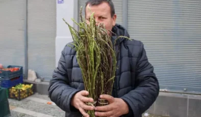 Halk arasında 'acı ot' diye biliniyor, faydaları saymakla bitmiyor! Fiyatı sudan ucuz