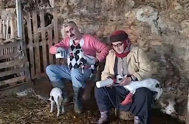 Hobi olarak başladılar, 4 koyup 6 yılda 600 aldılar