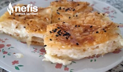 Yalancı Su Böreğı