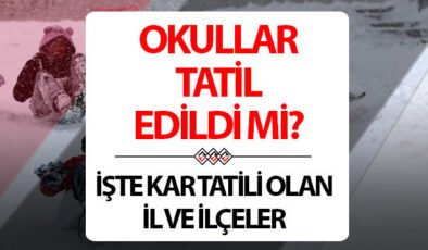 YARIN OKULLAR TATİL Mİ 11 ŞUBAT 2026 ÇARŞAMBA SON DAKİKA | Yarın okul var mı? Ağrı, Van, Muş, Artvin, Erzurum’da okullar tatil edildi mi, nerelerde okullar tatil? Valiliklerden açıklama geldi!