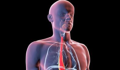 Dijital İkizler, Yemek Borusu Ameliyatlarının Geleceğini Nasıl Şekillendiriyor?
