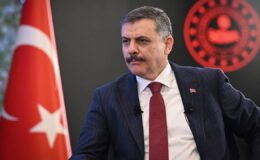 İçişleri Bakanı Çiftçi'den 'Nevruz' açıklaması: '209 kişi gözaltına alındı'