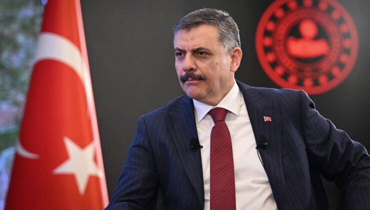 İçişleri Bakanı Çiftçi'den 'Nevruz' açıklaması: '209 kişi gözaltına alındı'