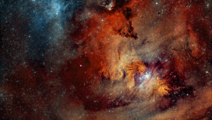 19 Mart Balık Yeniayı