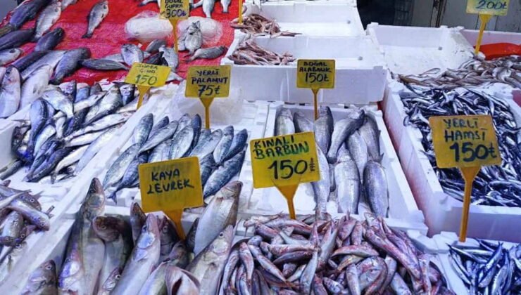 Hamsi gitti, yerine o geldi: Balık tezgâhlarında dengeler tamamen değişti