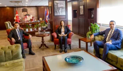 Sahipsiz hayvanlar için ‘Doğal Yaşam Alanı’ kuruluyor