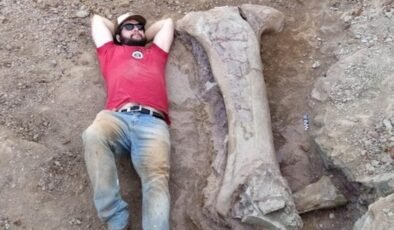 Dev dinozor türü keşfedildi. Bir kemiği bile insan boyunda