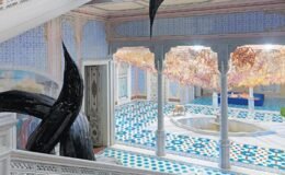 220 bin kişi ‘Folia’da buluştu