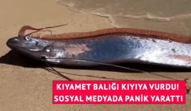 Kıyıya iki "kıyamet balığı" vurdu! Görüntüler paniğe neden oldu