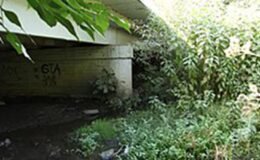 Kan donduran cinayetlerin seri katili: Cinsel organlarını kesip yemiş! Aralarında çocuklar da var