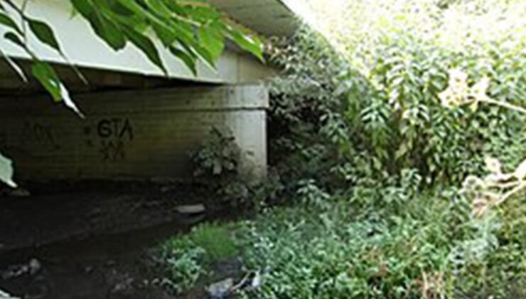 Kan donduran cinayetlerin seri katili: Cinsel organlarını kesip yemiş! Aralarında çocuklar da var