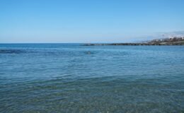 5 yıldır yaz kış demeden kendini Karadeniz sularına bırakıyor! Kız Kulesi'nden Rize Pazar'a yüzüyor