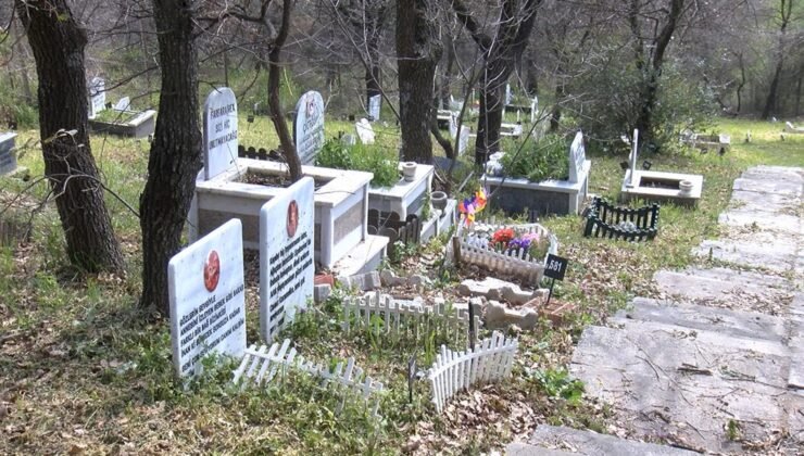 Türkiye'de bir ilk! Bayramda ziyaretçilerle doldu taştı