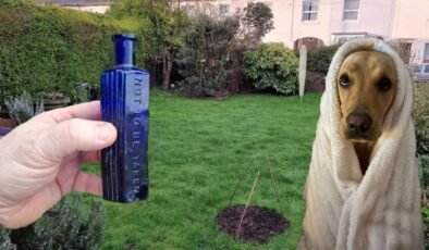 160 yıllık cinayeti köpek çözdü! Şişenin içinden bakın ne çıktı