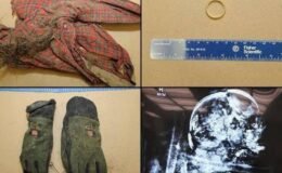 Kocasını timsah yedi: O eşinin en yakın arkadaşıyla evlendi!