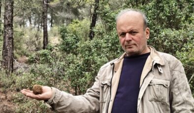 Altın bulmuş gibi seviniyorlar! Yağmurdan sonra ortaya çıkıyor, doğada kendiliğinden yetişiyor