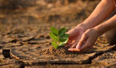 1,5°C sınırı: İklim aşımı nedir?