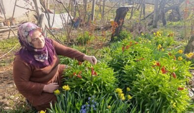 Güzelliği sadece 20 gün sürüyor: Şehir dışından bile görmeye gelen var!