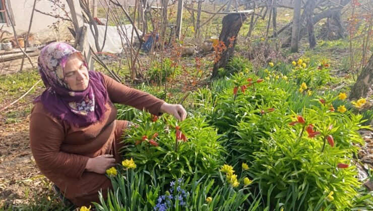 Güzelliği sadece 20 gün sürüyor: Şehir dışından bile görmeye gelen var!