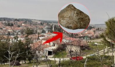 Yürüyüş yaparken buldu: Milyonlarca yıllık! Geçmişten önemli ipuçları taşıyor