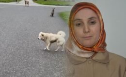 Can korkusuyla kurusıkı aldı işinden oldu! "Belediye bana değer vermiyor"