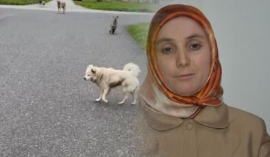 Can korkusuyla kurusıkı aldı işinden oldu! "Belediye bana değer vermiyor"