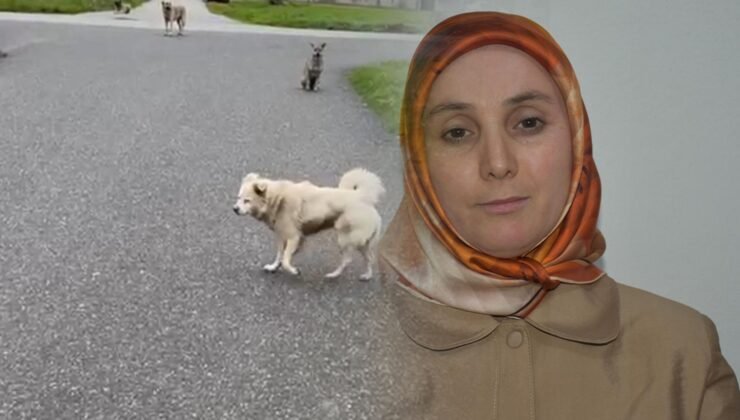 Can korkusuyla kurusıkı aldı işinden oldu! "Belediye bana değer vermiyor"