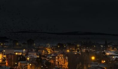 Yer: Ardahan! Gökyüzü bir anda siyaha büründü: Binlercesi istila etti