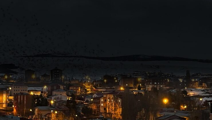 Yer: Ardahan! Gökyüzü bir anda siyaha büründü: Binlercesi istila etti