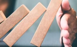 Karbon yutaklarından yenilenebilir enerjiye iklim mücadelesi